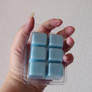 CherzeLade.ch Duft-Melt in der wiederverschliessbaren Blisterverpackung Wie frisch gewaschen - hilft unangenehme Gerüche zu entfernen.