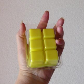 CherzeLade.ch Duft-Melt in der wiederverschliessbaren Blisterverpackung Inspired by Dios me Dior me not