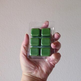 CherzaLade.ch Duft-Melts Apfelfrische