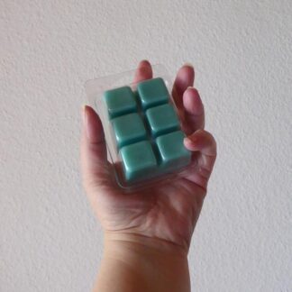 CherzeLade.ch Duft-Melts Aventos for her