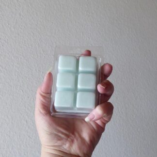 CherzeLade.ch Duft-Melt Mief-absorbend. Hilft unangenehme Gerüche effektiv zu entfernen. Dein Zuhause riecht sauber und frisch!