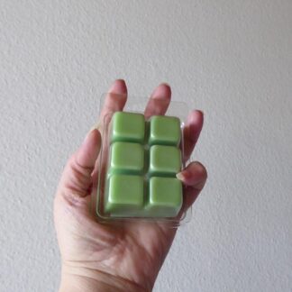 CherzeLade.ch Duft-Melt Mief-absorbend. Hilft unangenehme Gerüche effektiv zu entfernen. Dein Zuhause riecht sauber und frisch!