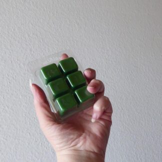 CherzeLade.ch Duft-Melt inspired by Thierry Muglers Alien Der glamuröse Raumduft