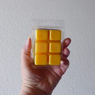 CherzeLade.ch Wachsduftmelt inspired by Sol de Janeiro - Cheirosa 62